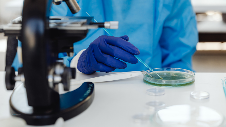 Kozmetikte En Dirençli Patojen: ISO 22717 ve Pseudomonas aeruginosa Analizi